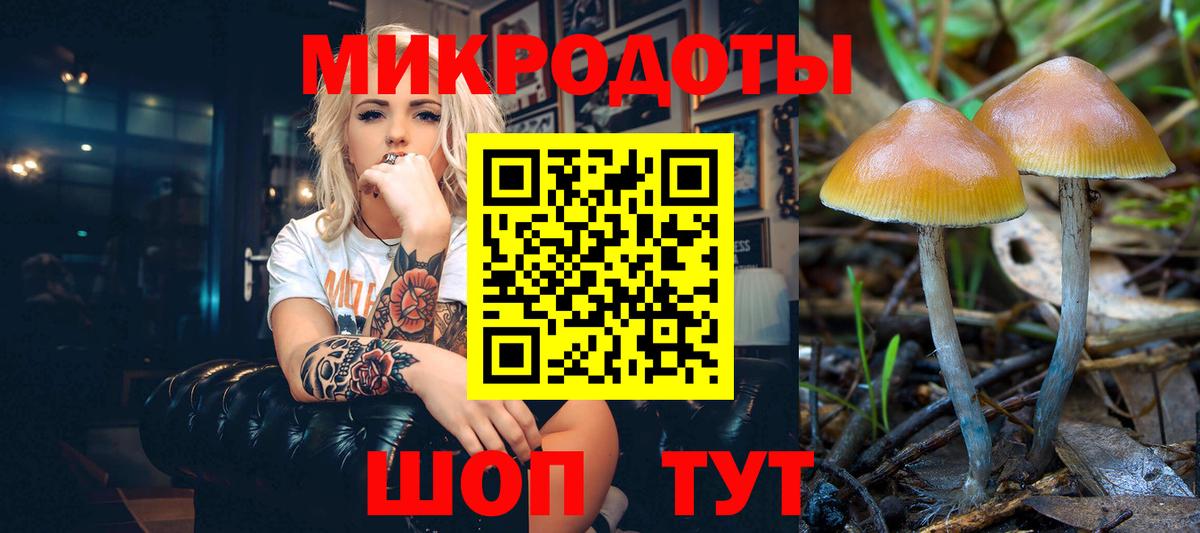 Спасск-Дальний  Псилоцибиновые грибы Magic Shrooms  как найти закладки  Вход с VPN 
